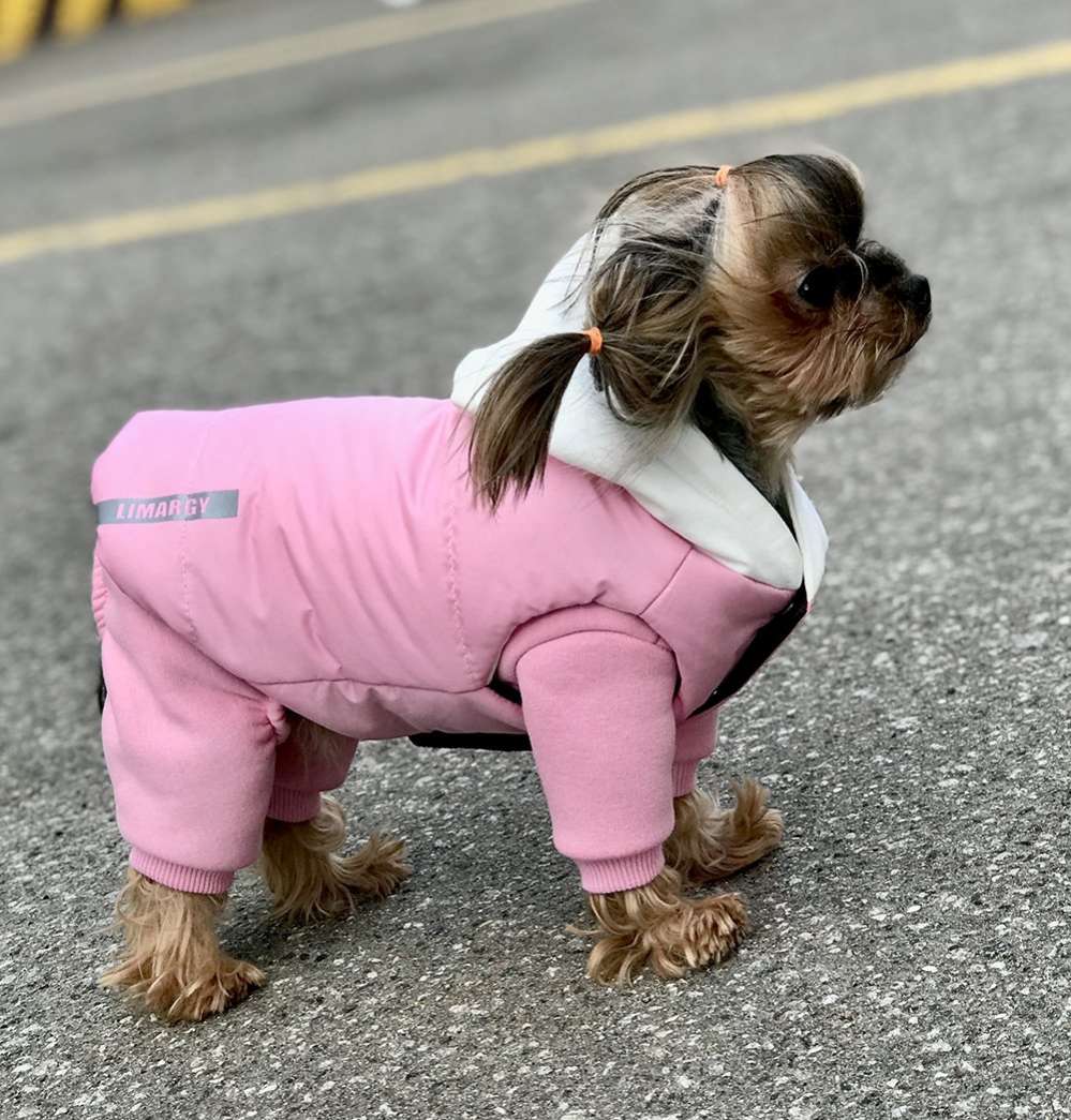 Комплект костюм и жилет для собаки Premium 15