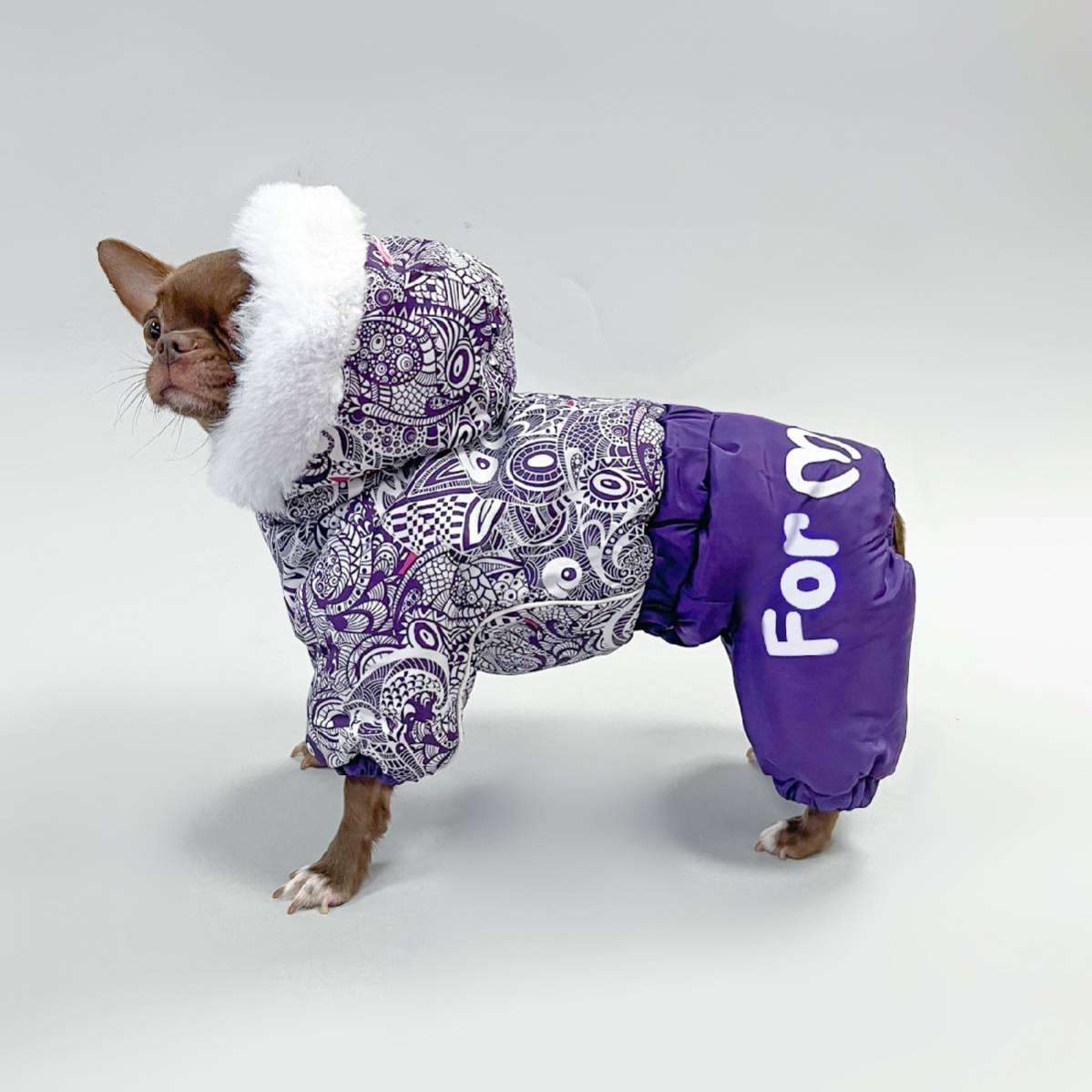 Зимний комбинезон для собак ForMyDogs Сапфир