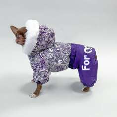 Зимний комбинезон для собак ForMyDogs Сапфир