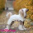 Вязаный костюм для собак ForMyDogs Буржуа