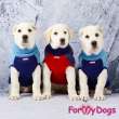 Свитер для собак ForMyDogs Север