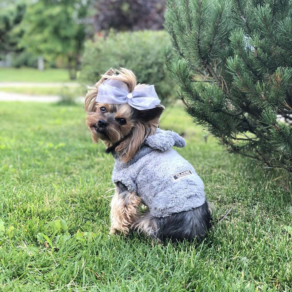 Толстовка для собак плюшевая Pet Hamster