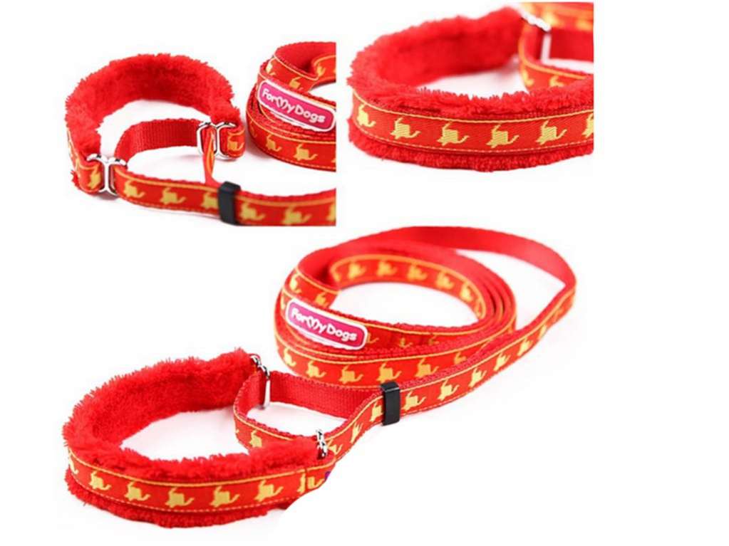 Ошейник для собак ForMyDogs с поводком