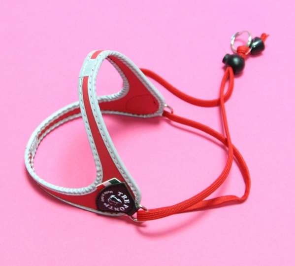 Шлейка для собак Практиш с регулятором