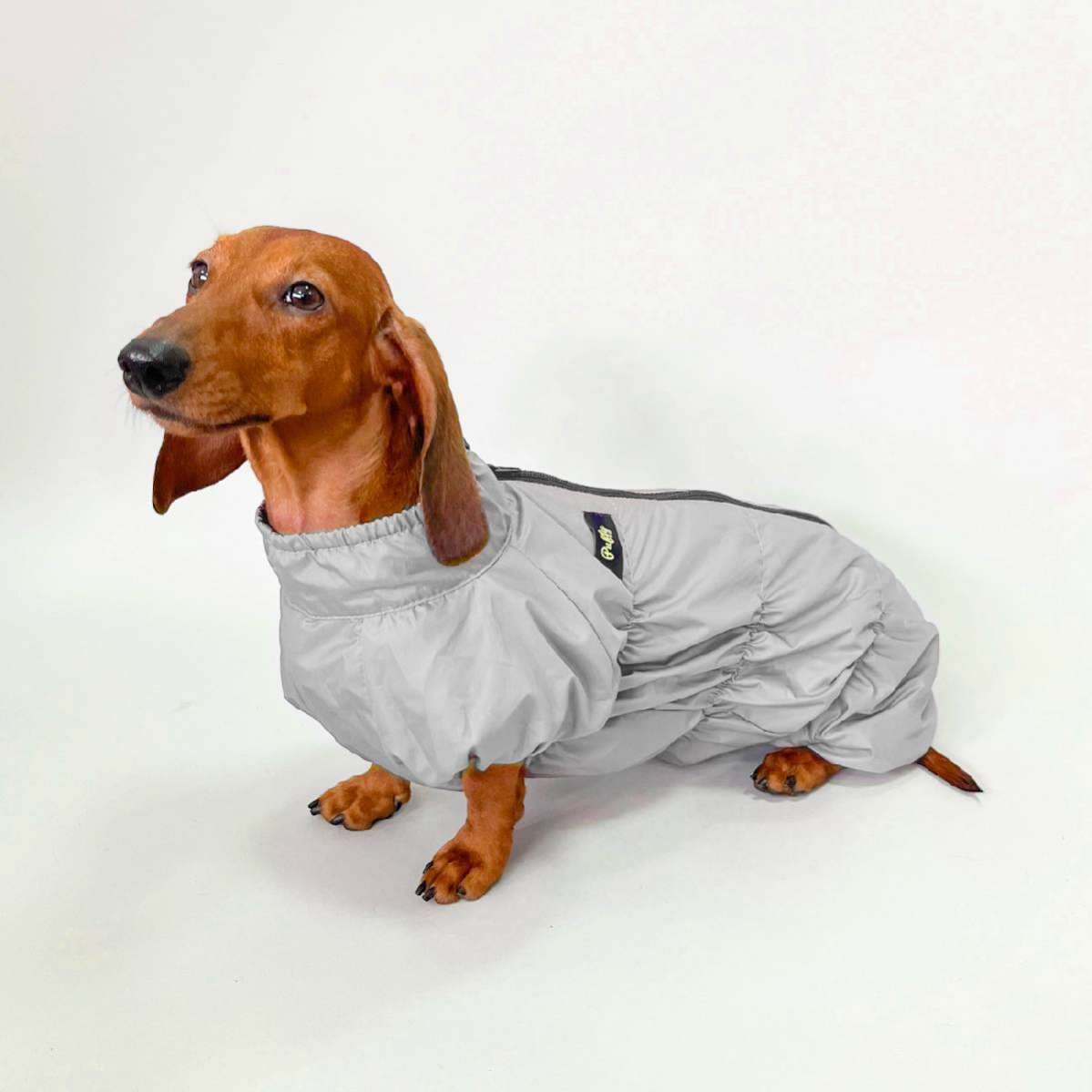 Утепленный дождевик Puffy Норд для такс и корги серый