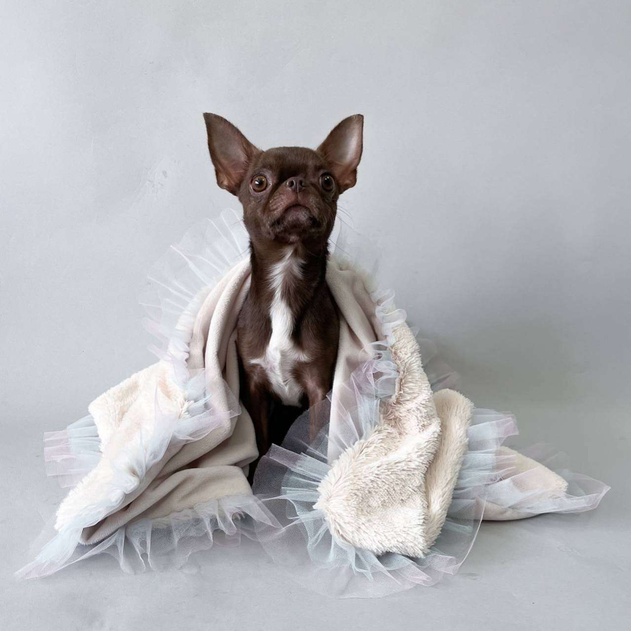 Плед для собаки Puffy Мэджик