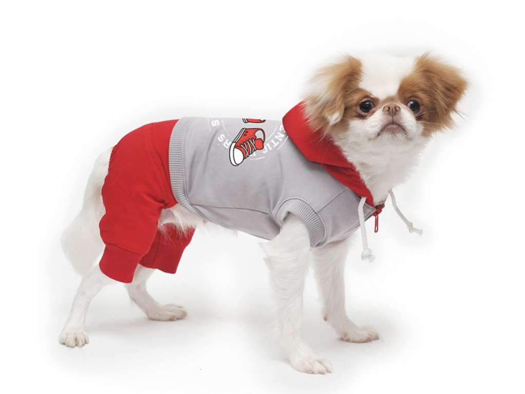 Костюм для собак трикотажный Premium Скечерс