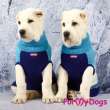 Свитер для собак ForMyDogs Север