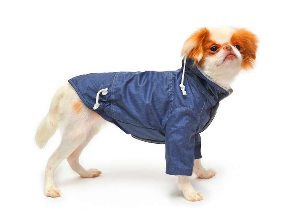 Дождевик для собаки Парка Puffy Casual