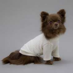 Свитшот для собак Puffy Лапша молочный