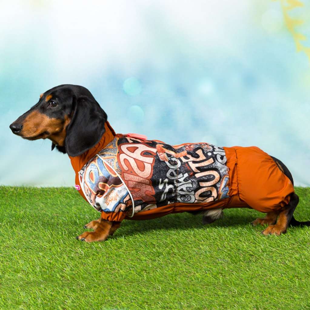 Дождевик для таксы и корги ForMyDogs Граффити