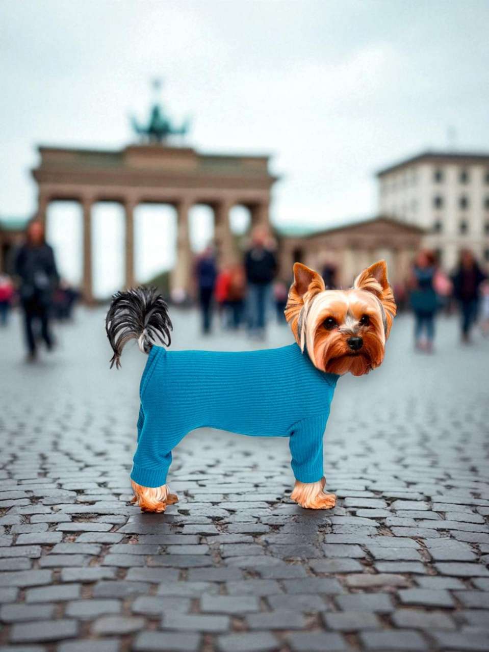 Костюм-боди для собак Puffy Лапша Море