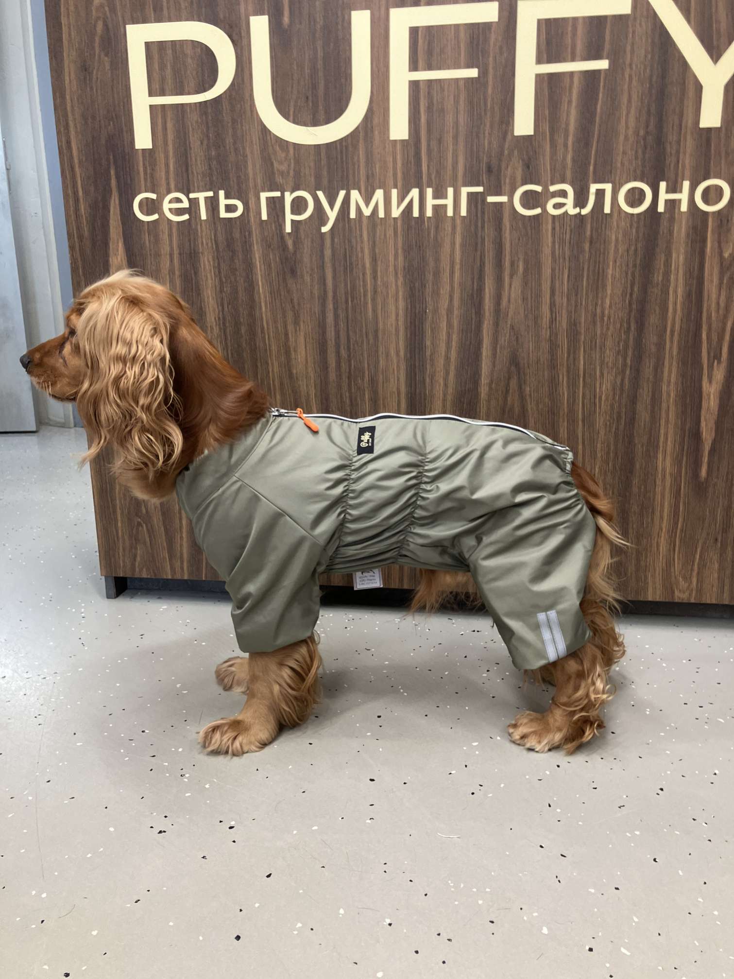 Дождевик для собаки утепленный Puffy Лестер