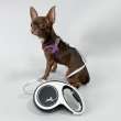 Рулетка для собак на ленте Flexi New Comfort с регулятором ручки