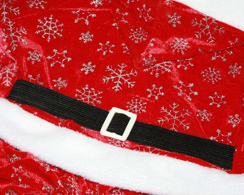 Новогодний костюм для собаки Дедушка Мороз