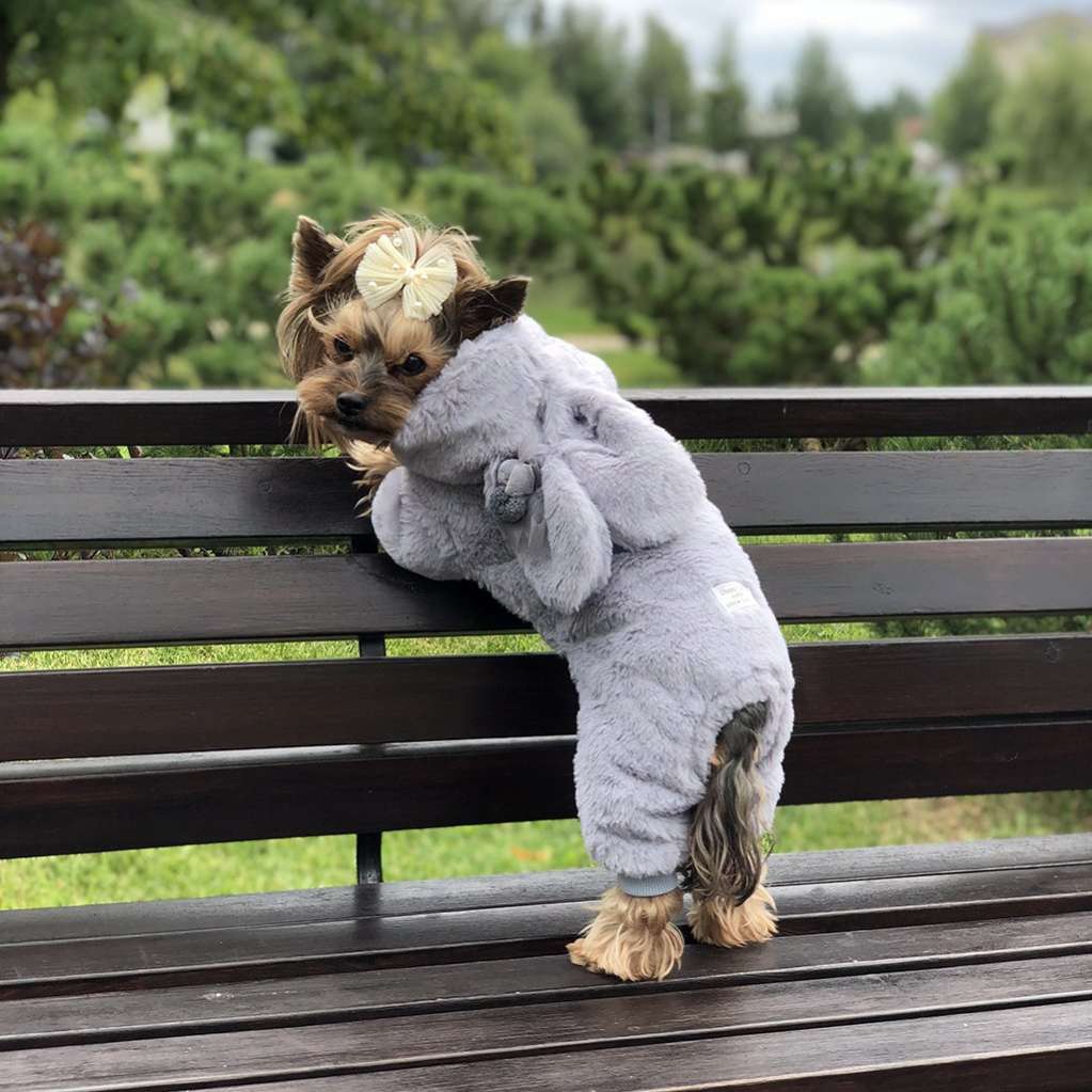 Костюм для собак плюшевый Pet Sweety