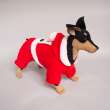 Новогодний костюм для собаки Pet Санта