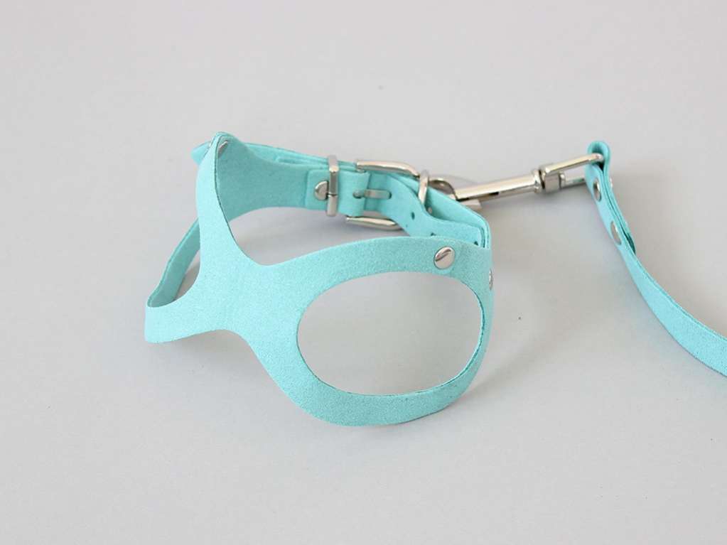 Шлейка с поводком для собак Pet Полли