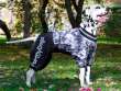 Комбинезон для собак на широкую грудь ForMyDogs Wolf