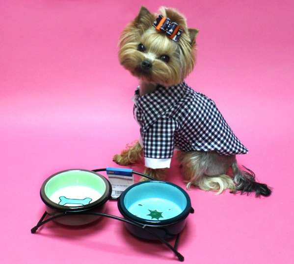 Миска для собак на подставке Dogs