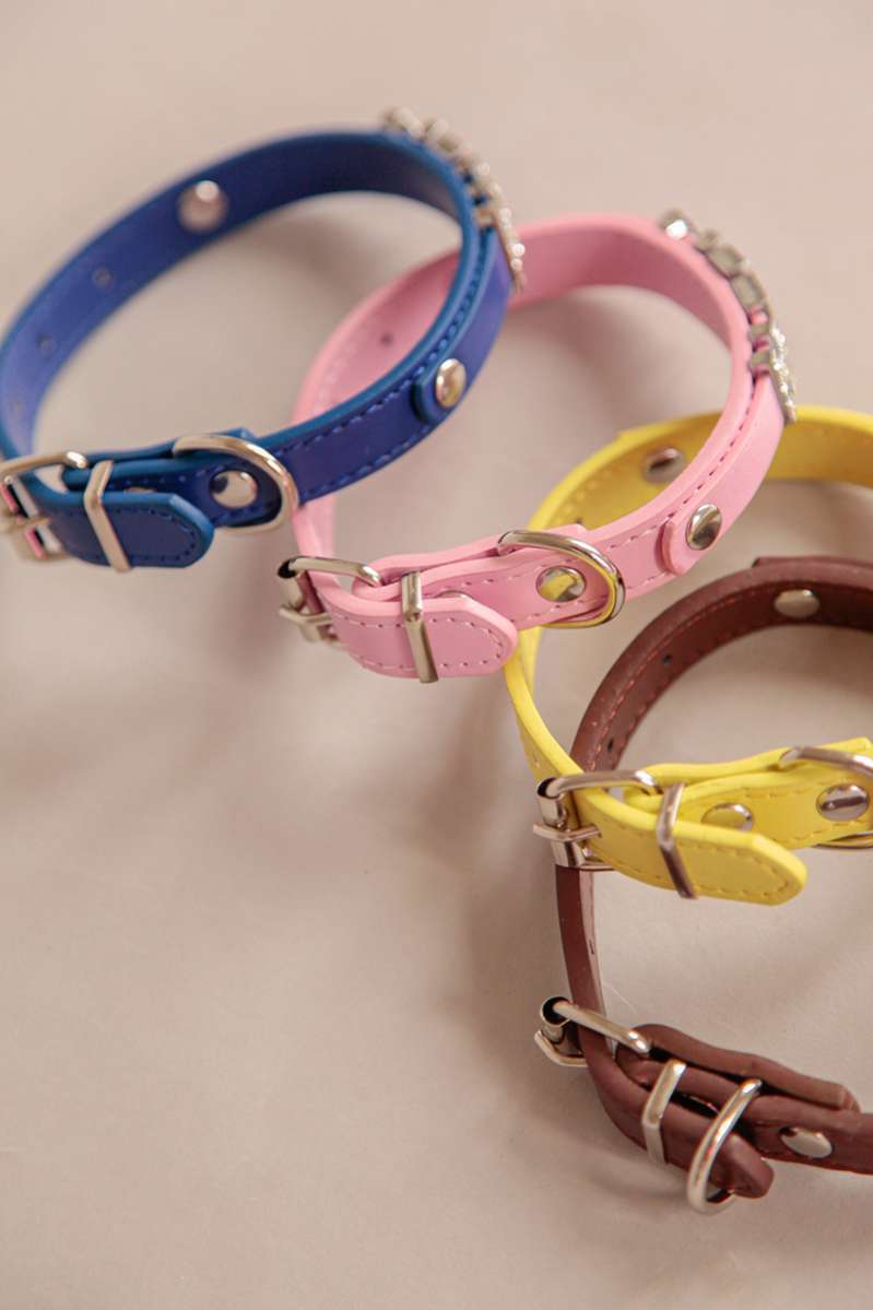 Ошейник для собак с готовым именем