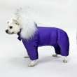 Комбинезон для собак Северное сияние Вайлет