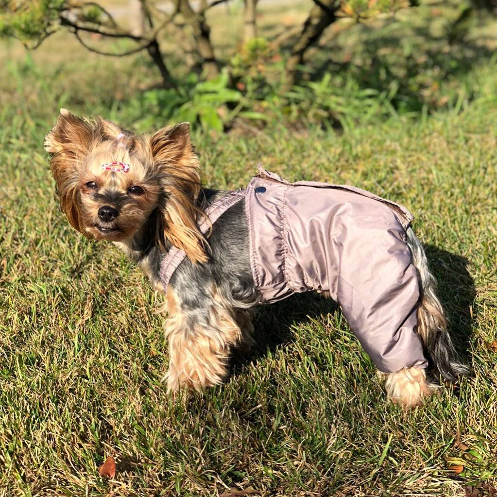 Штаны для собак теплые