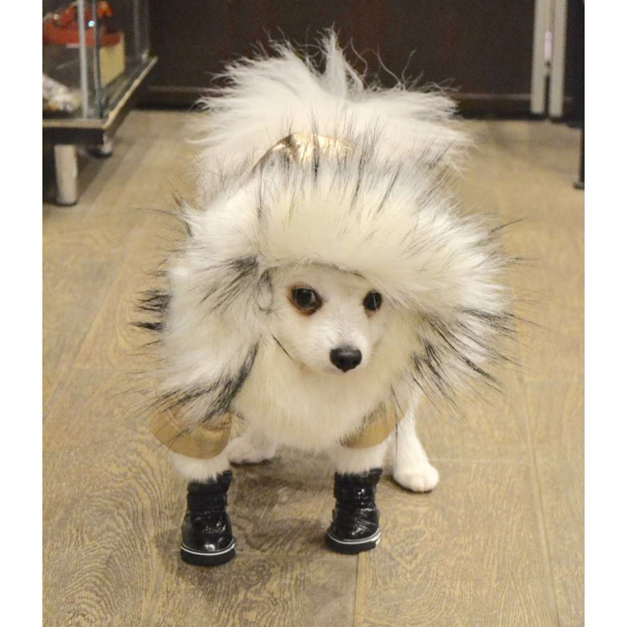 Зимние ботинки для собак Луноходы с липучкой