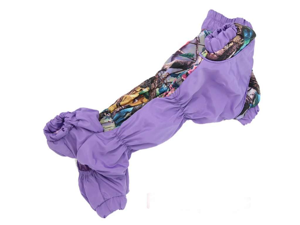 Дождевик для таксы и корги ForMyDogs Яркие краски