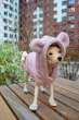 Жилет для собаки трикотажный Pet Лапочка