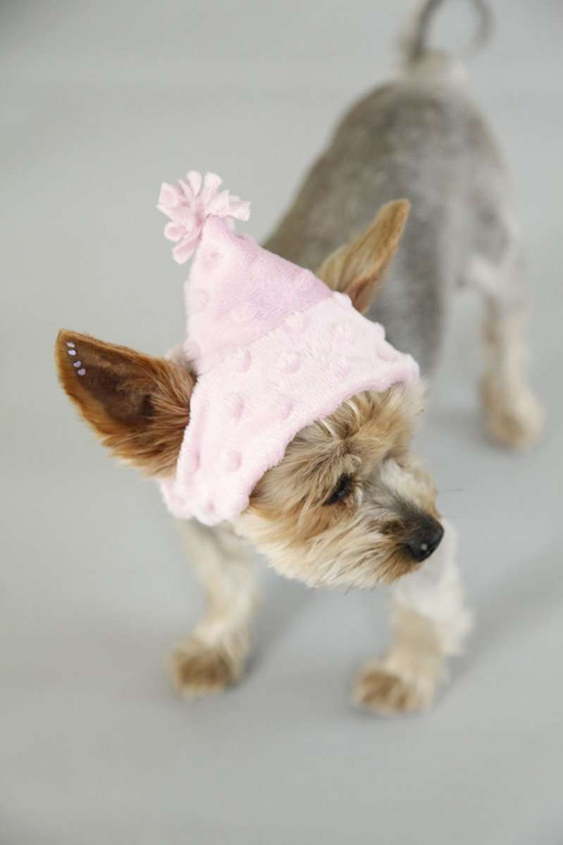 Шапка для собаки Puffy Кисточка