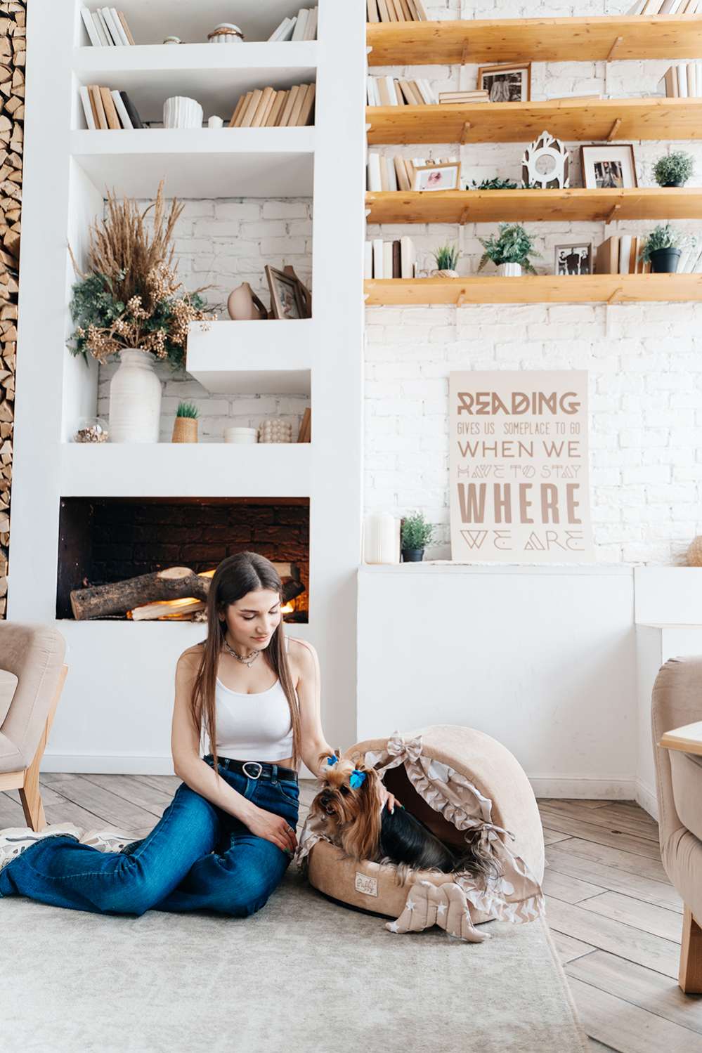 Домик для собаки со шторками Puffy в облаках