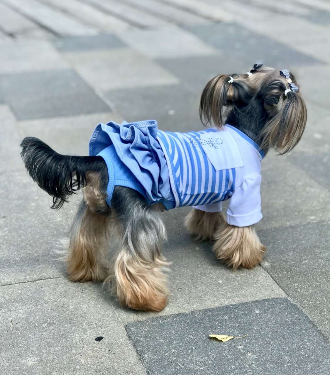 Юбка для собак Premium Джинса