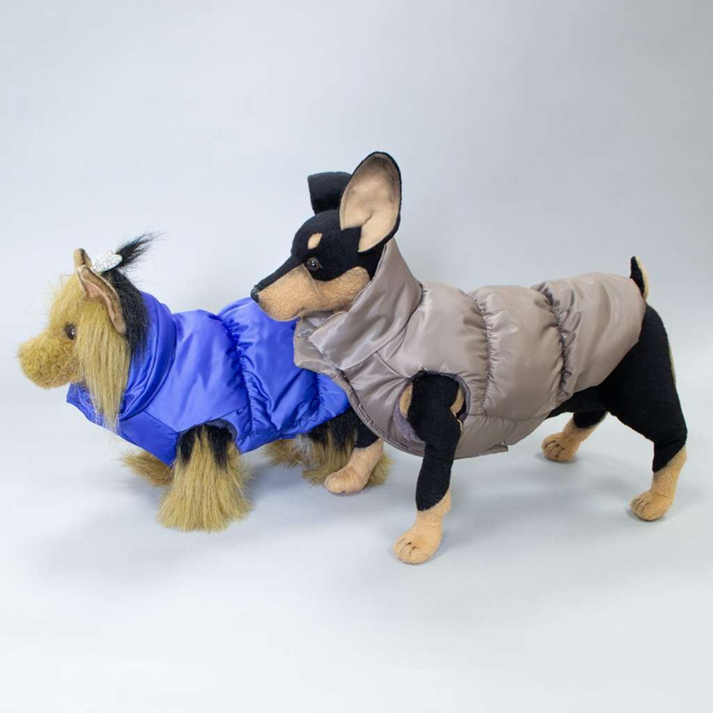 Жилет для собаки Фиби стронг