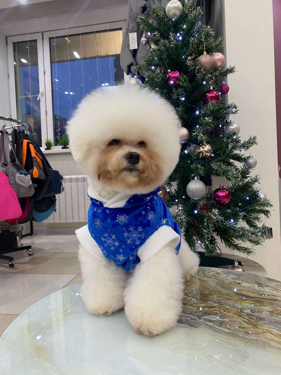 Новогодняя толстовка для собак Puffy Снежинка синяя