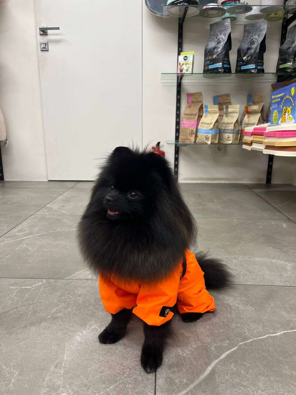 Дождевик для собак Puffy Фикс оранжевый со шлейкой