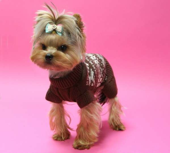 Шерстяной костюм для собак Снежинки