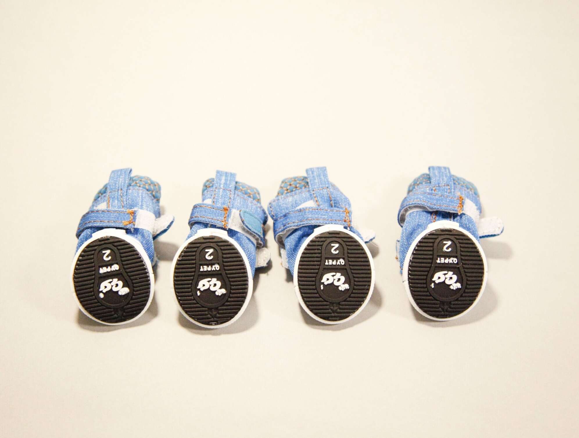 Кеды для собак Pet Прогулка