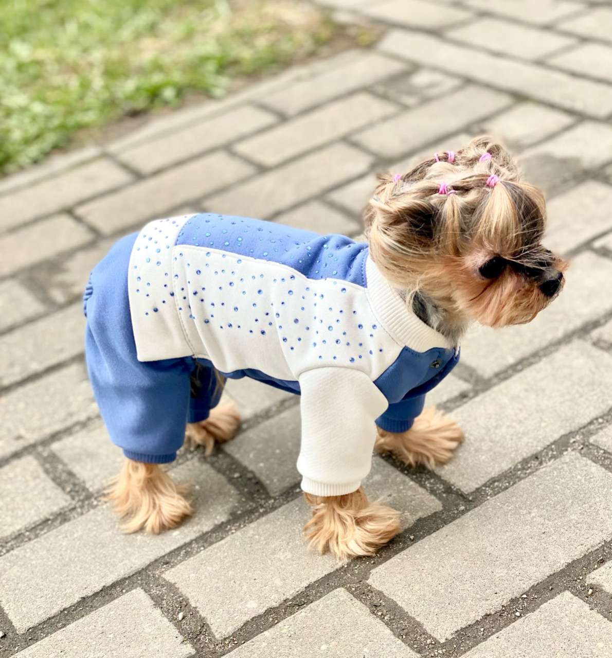 Толстовка для собак Premium Shine