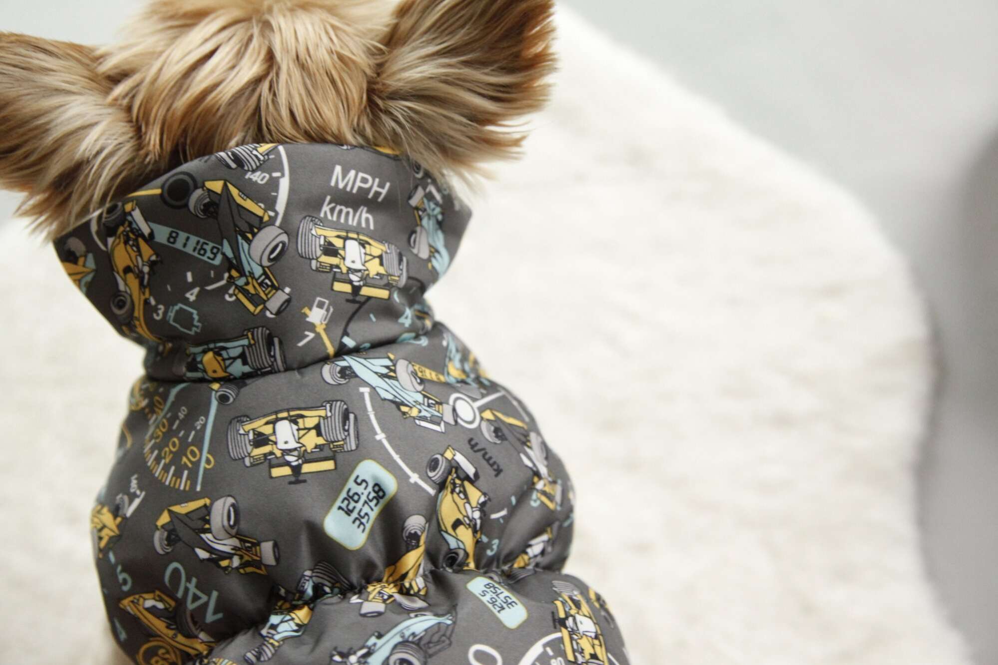 Жилет для собаки Фиби Микс