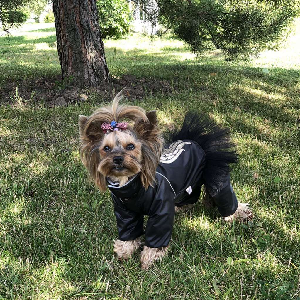 Дождевик для собаки утепленный Puffy Angel с юбкой