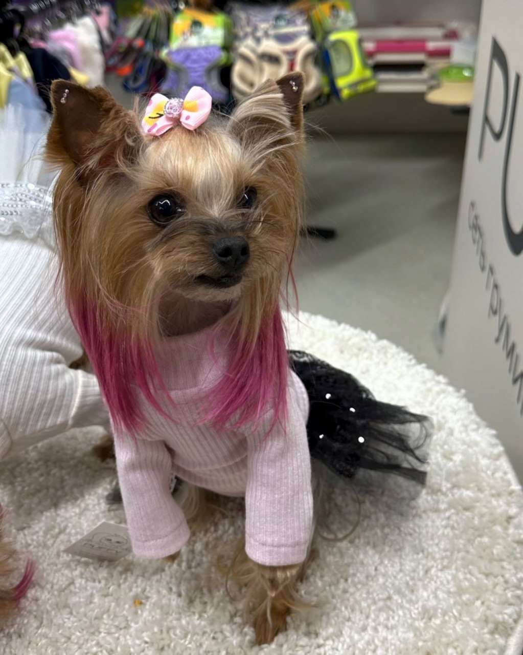 Платье Puffy Коко розовое