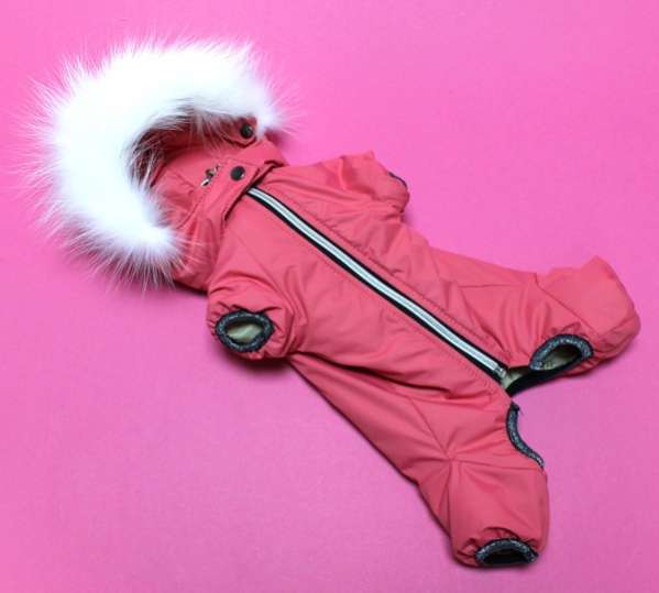 Зимний комбинезон для собак Арктическая зима коралловый