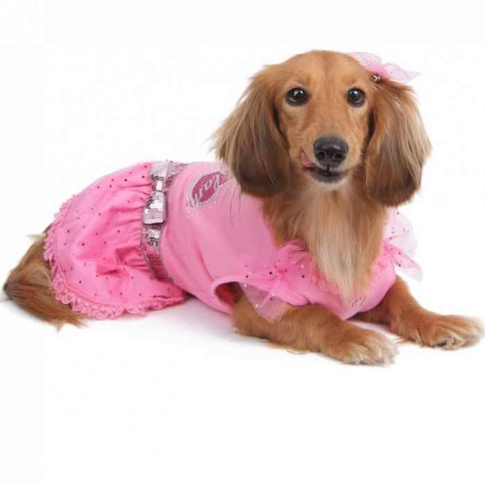 Платье для собак PA Королева гламура