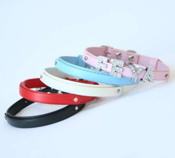 Ошейник для собак с именем двойной