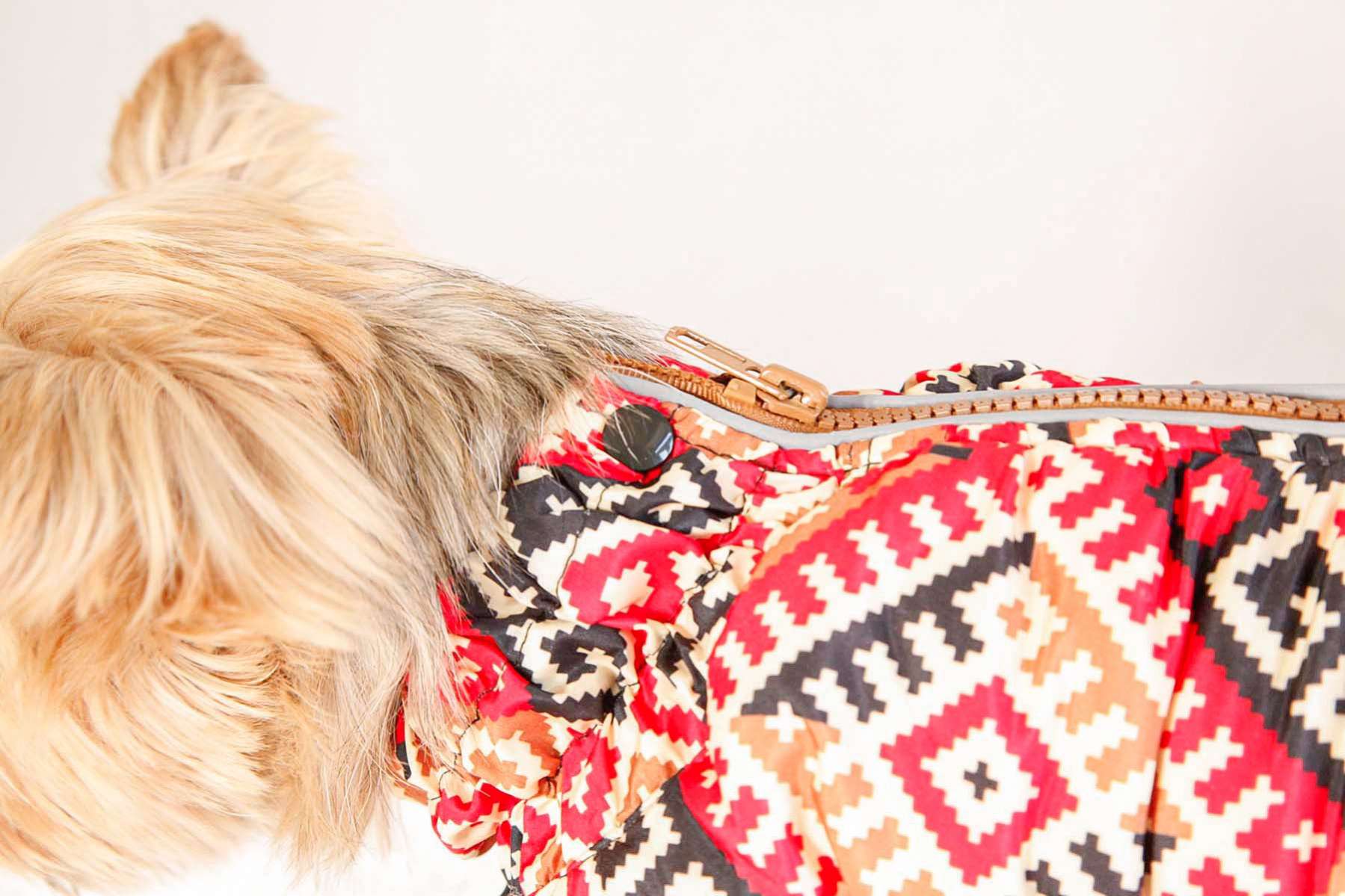 Зимний комбинезон для собак Арабика (2 цвета)