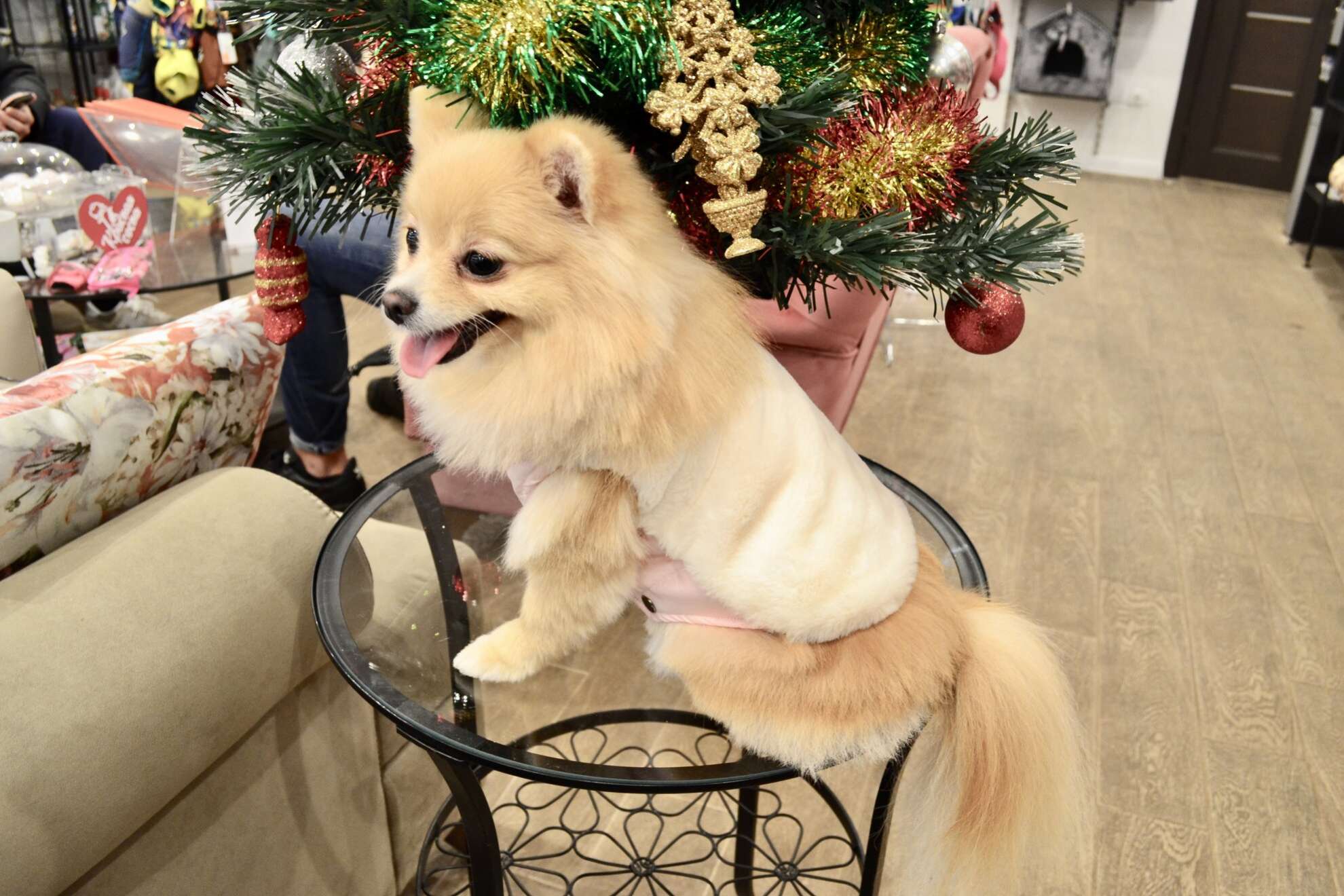 Жилет для собаки меховой Premium Pinki