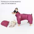Зимний комбинезон для собак Северное сияние Бургунди