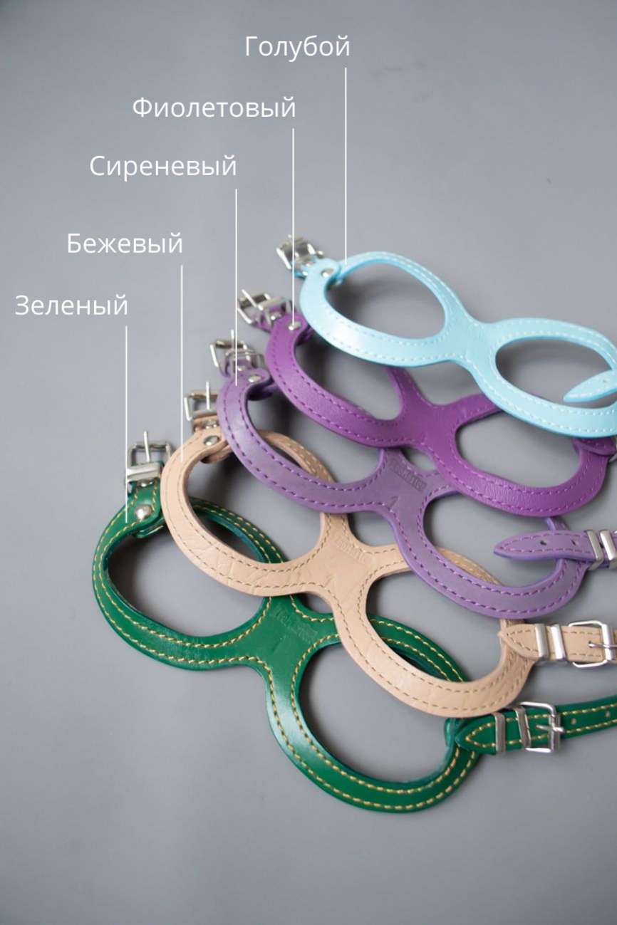 Кожаная шлейка для собак Очки