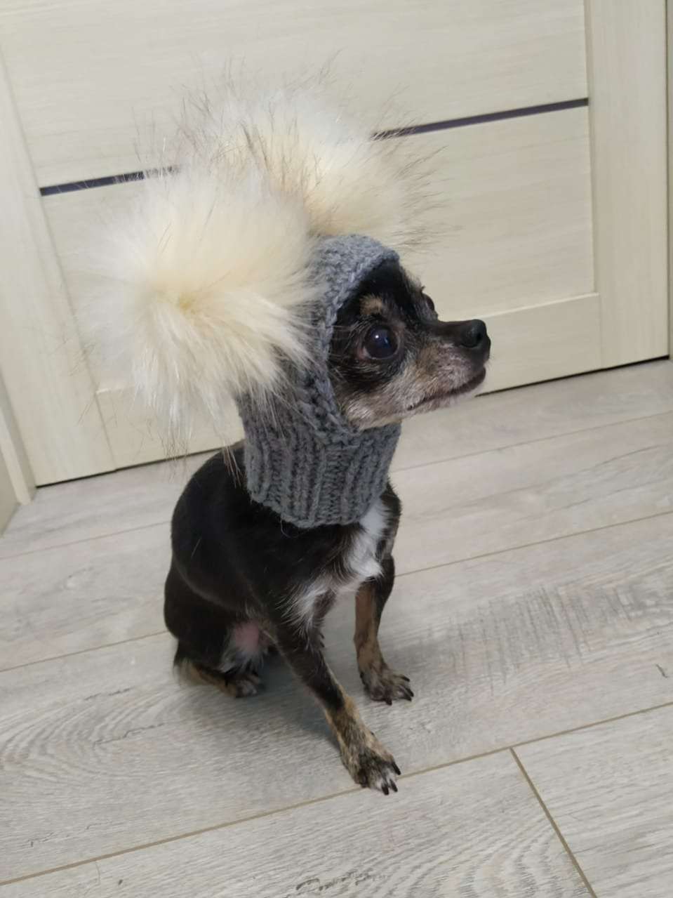 Шапка для собак Капор с закрытыми ушами Puffy Микки